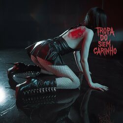 Cover of Tropa do Sem Carinho