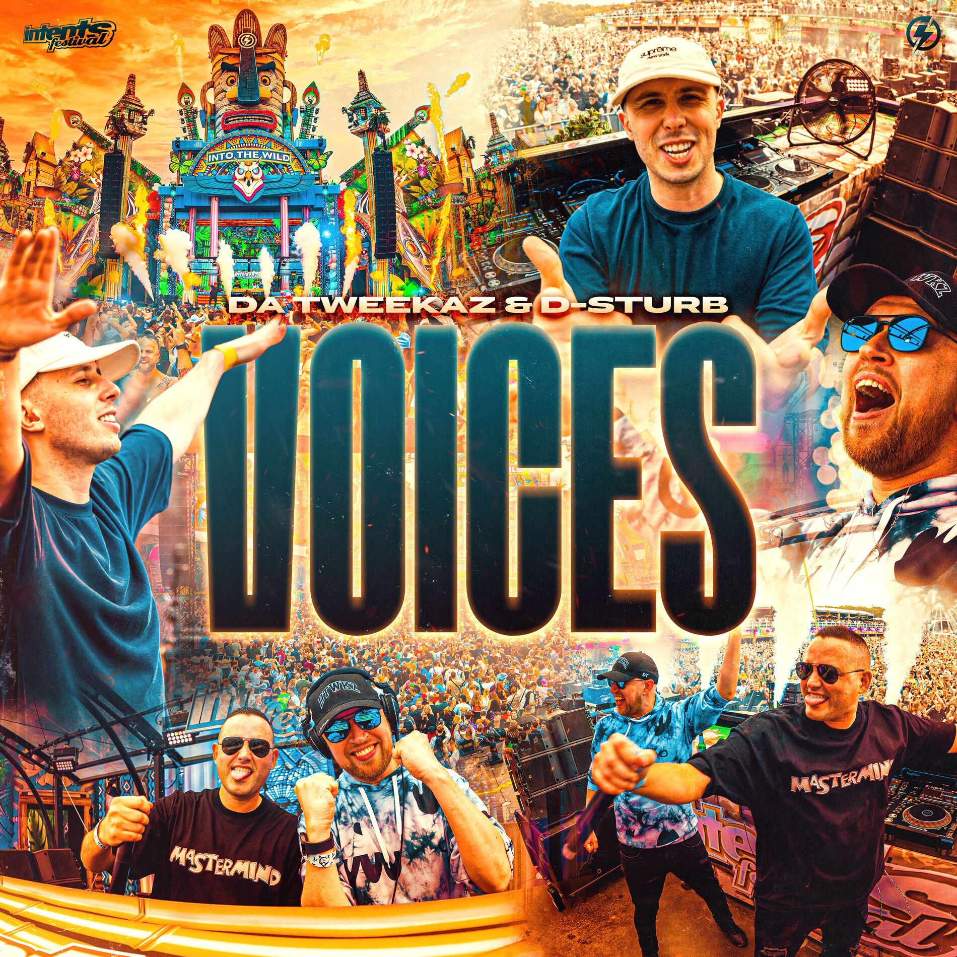 Album cover of Voices