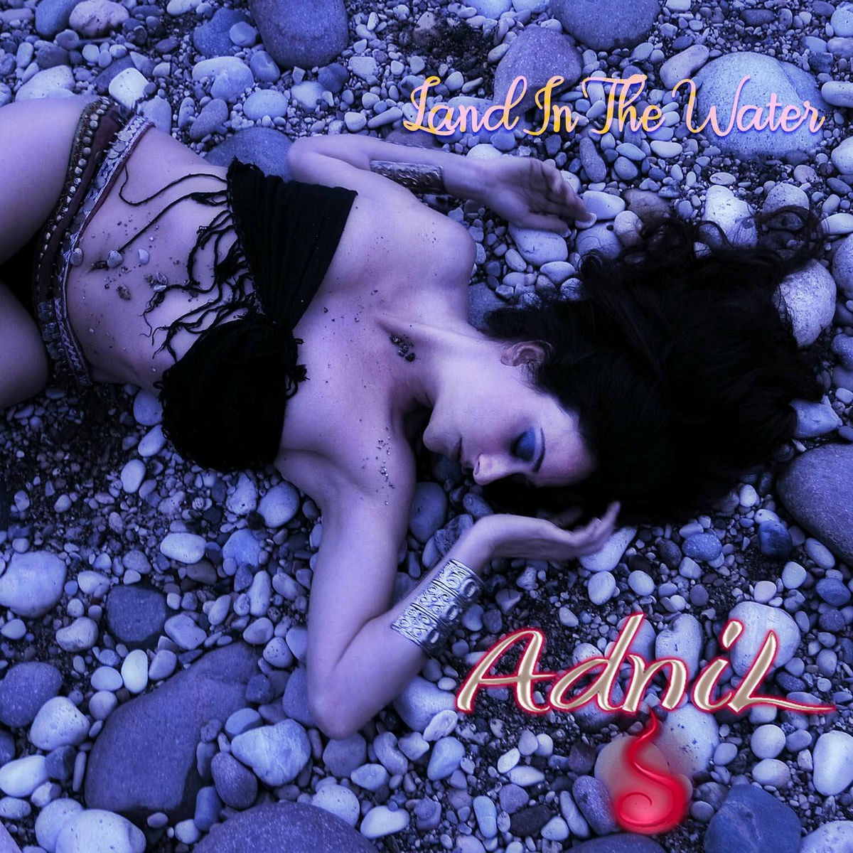 Album cover of Land In The Water