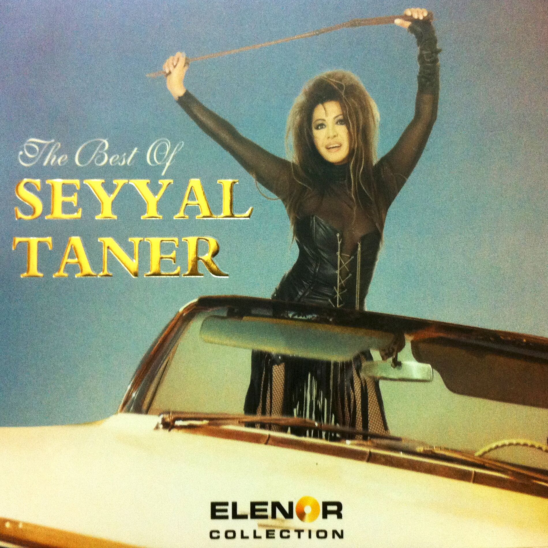 Album cover of Seyyalname