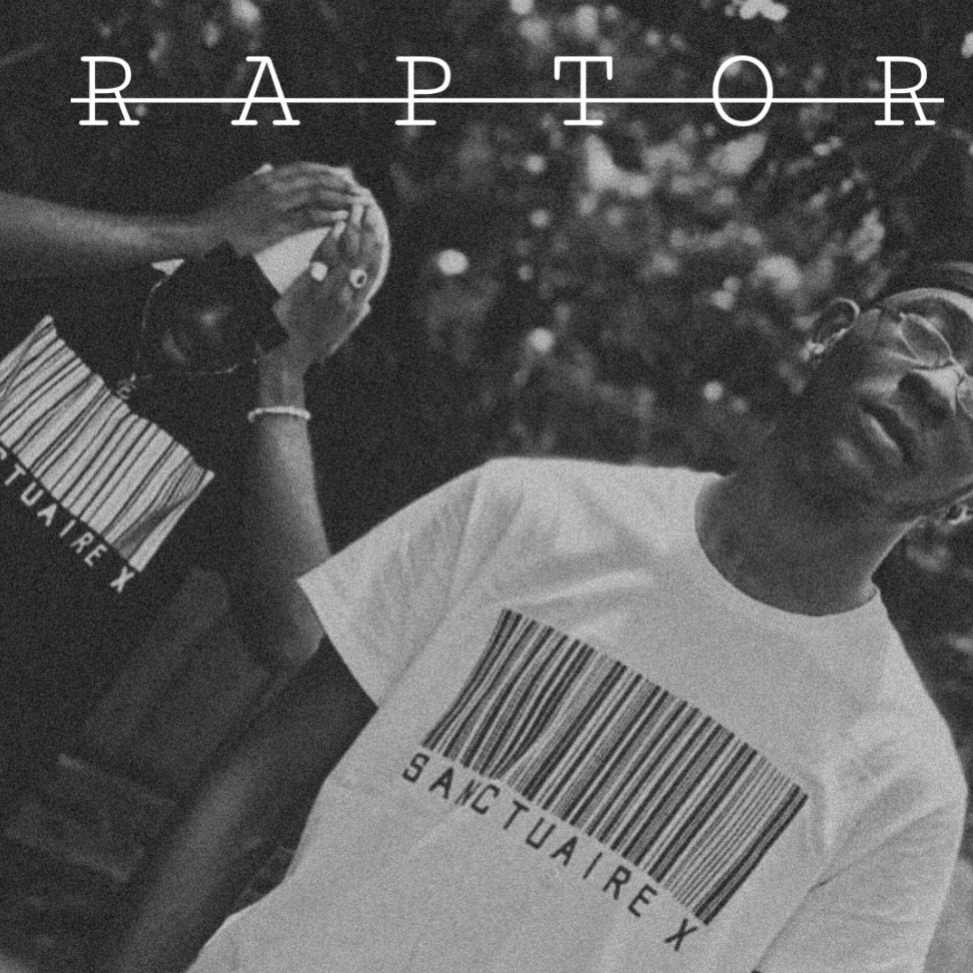 Album cover of Raptor