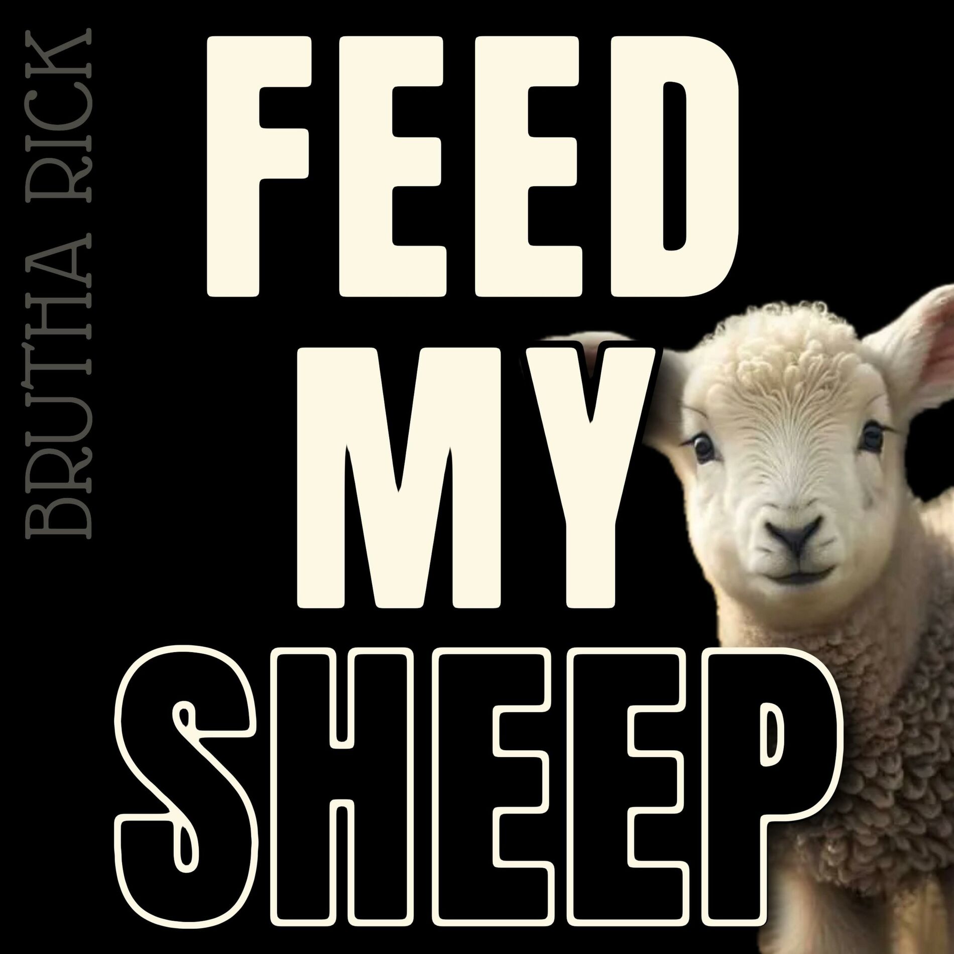 Album cover of Feed My Sheep