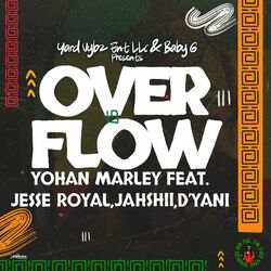 Cover of Overflow