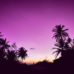 Cover of (Bossa Nova) Music for Long Vacations
