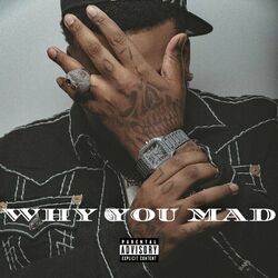 Cover of Why You Mad