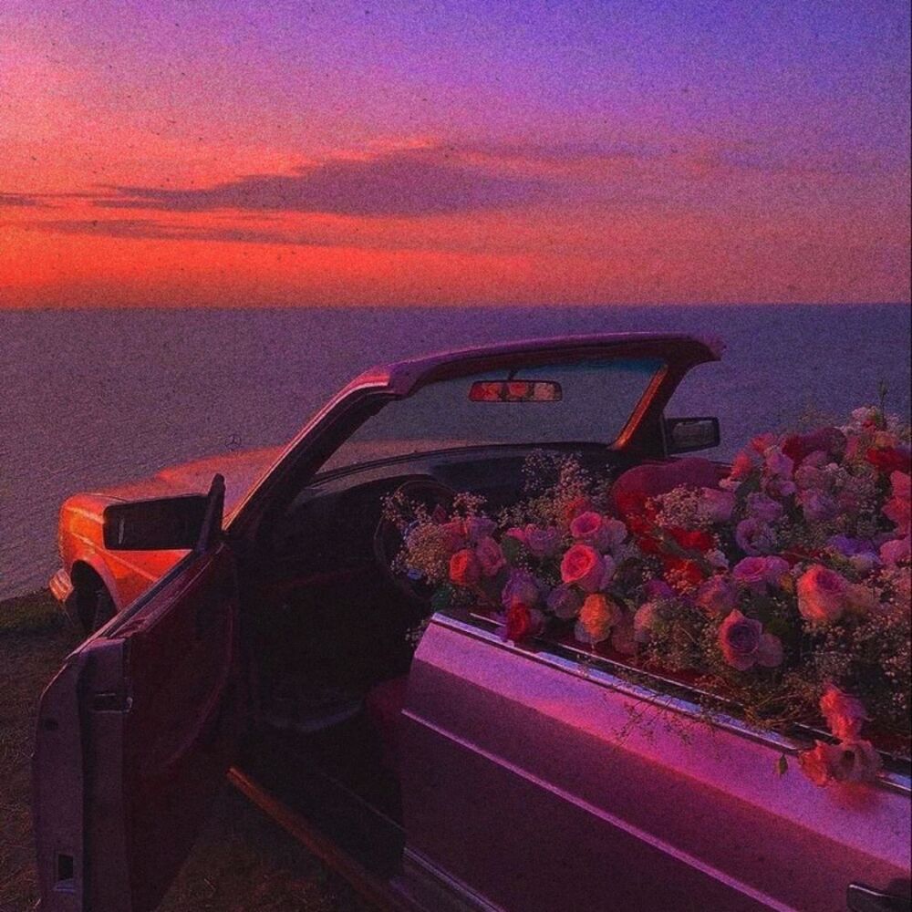 Picture of Cali