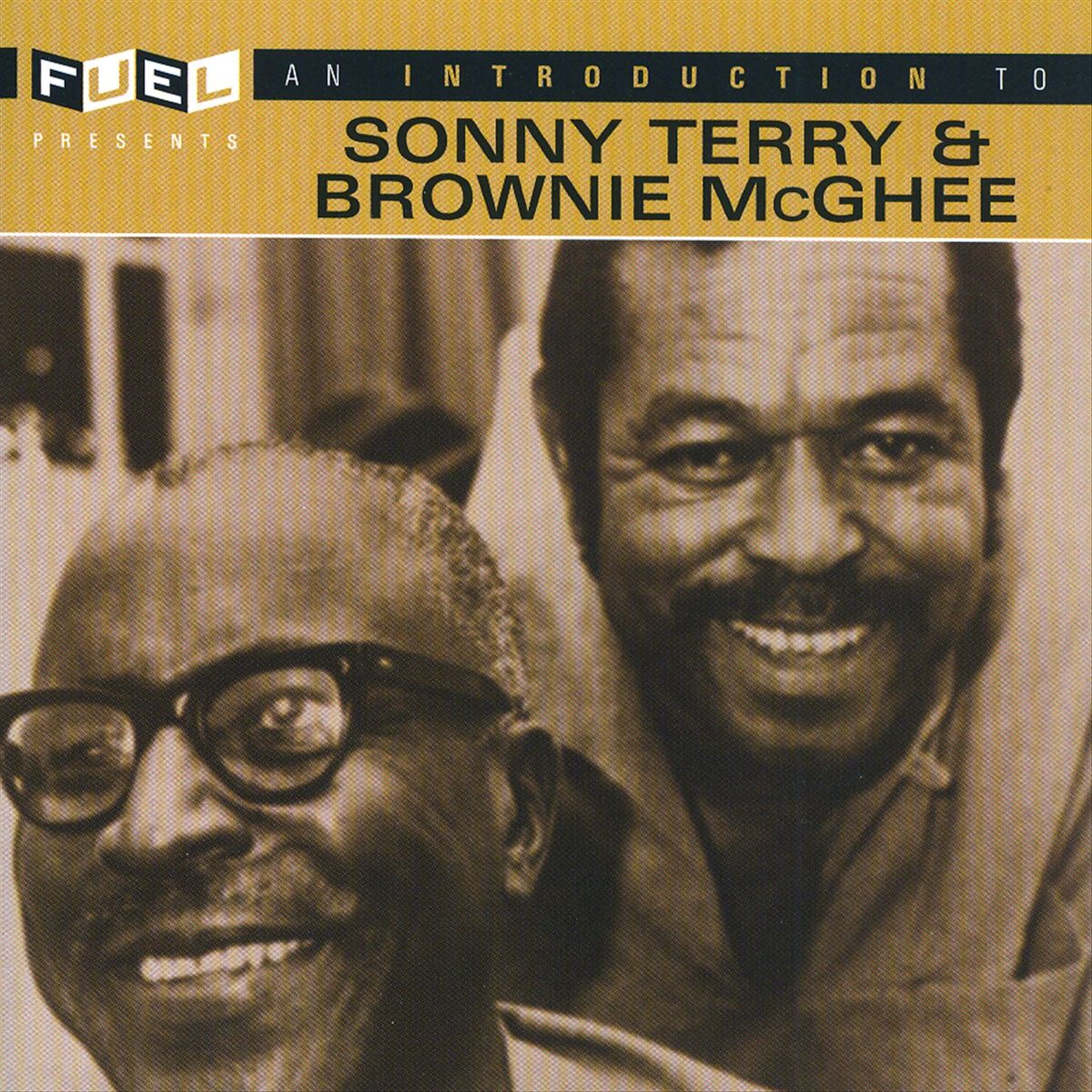 Album cover of An Introduction To Sonny Terry and Brownie McGhee