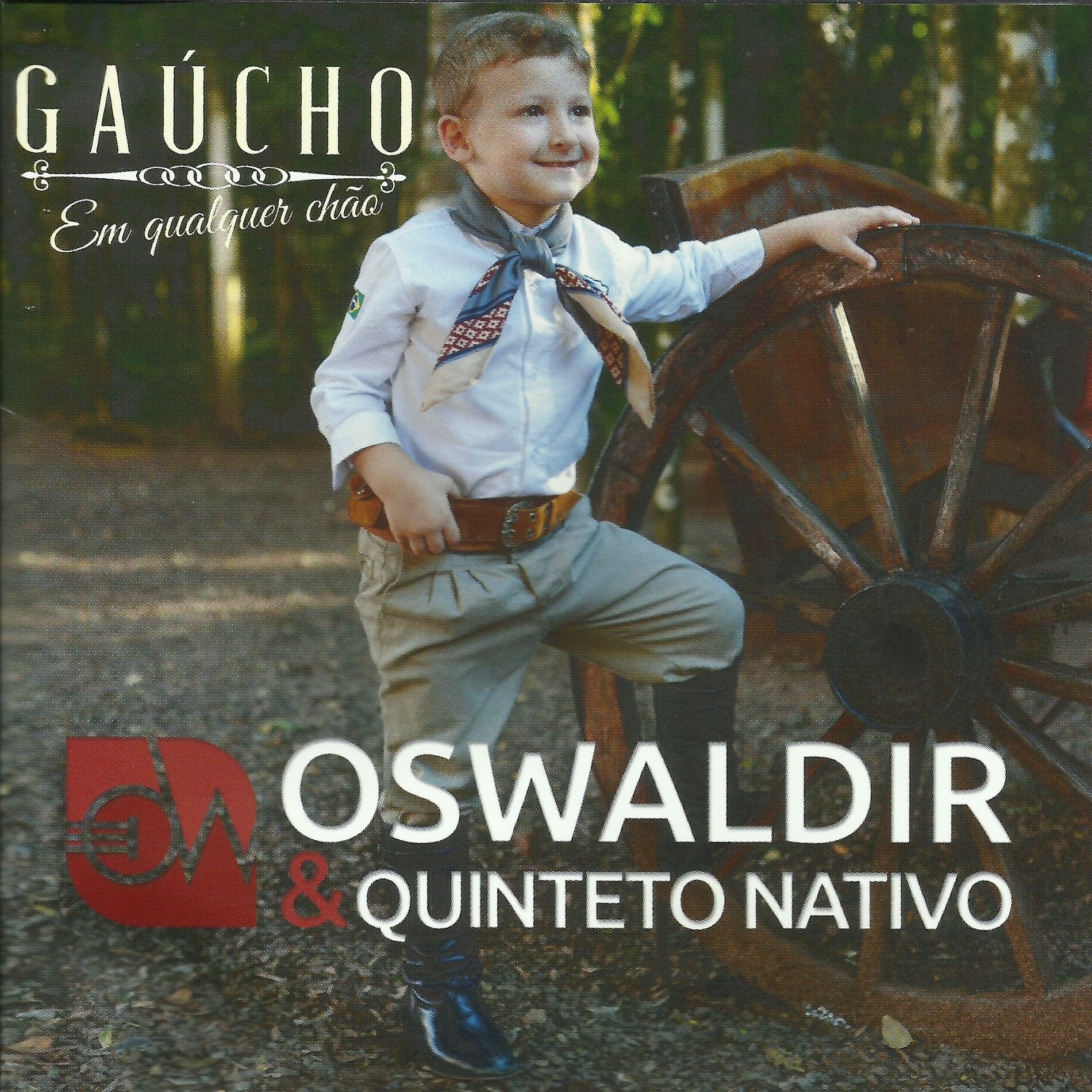 Album cover of Gaúcho Em Qualquer Chão