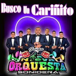 Cover of Busco un Cariñito