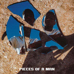 Cover of Pieces of a Man