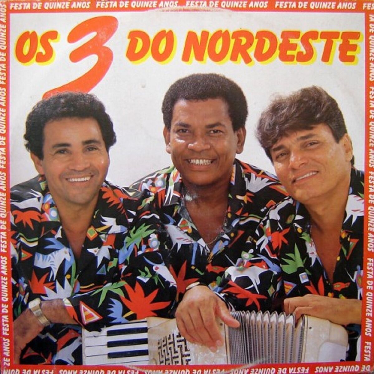 Album cover of Festa de 15 Anos