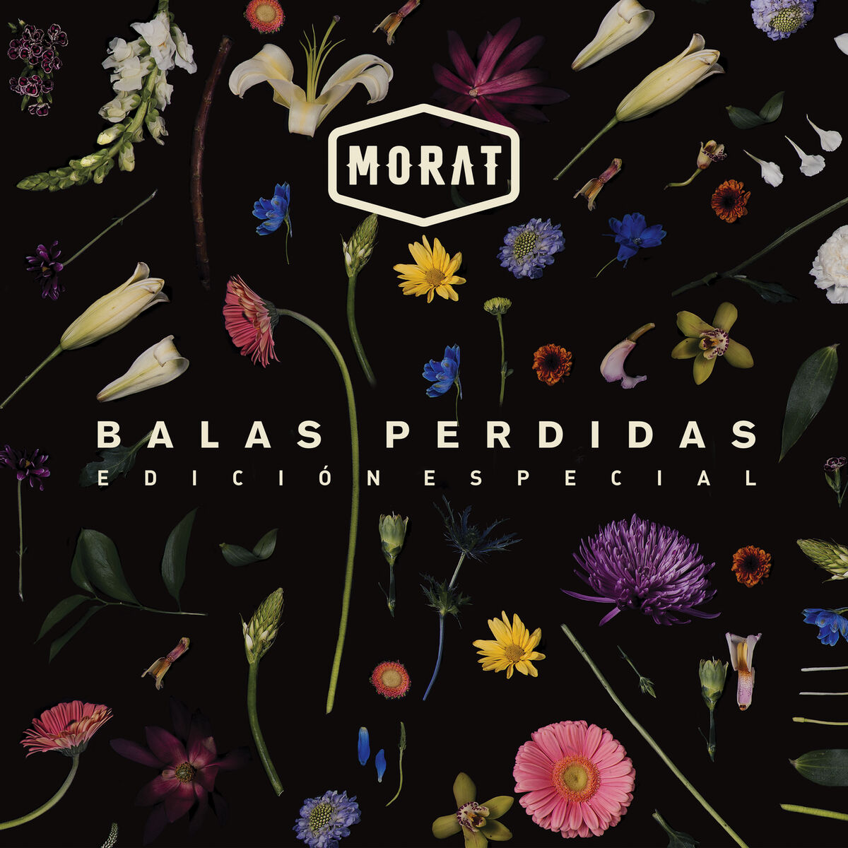 Album cover of Mi Suerte