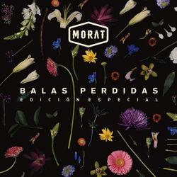 Cover of Balas Perdidas (Edición Especial)