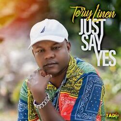 Cover of Just Say Yes