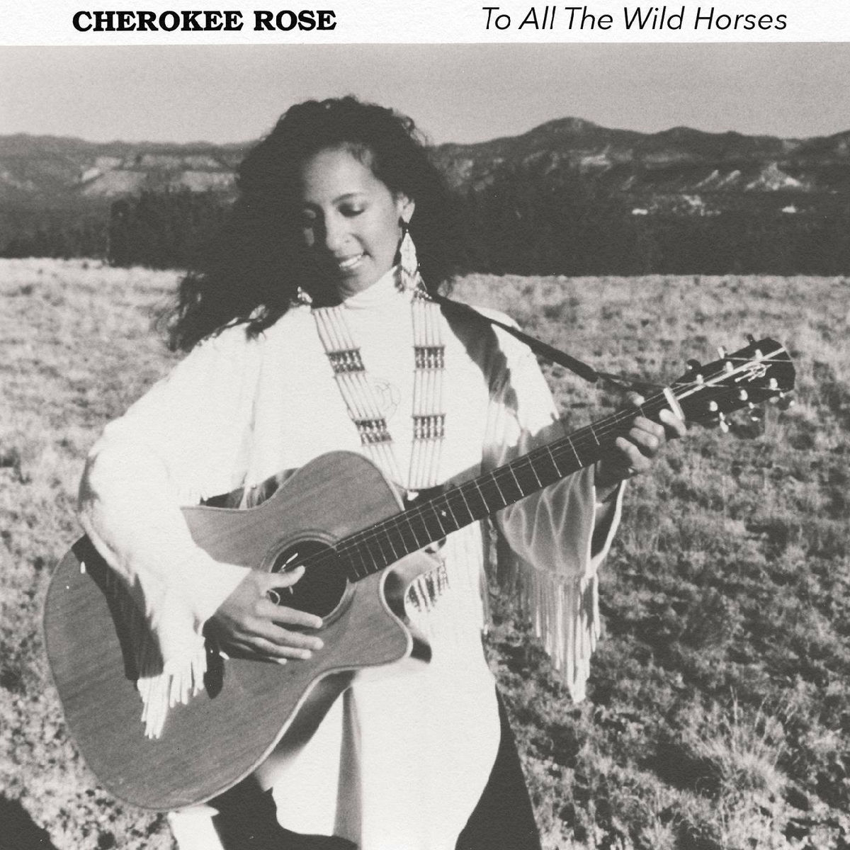 Album cover of To All the Wild Horses