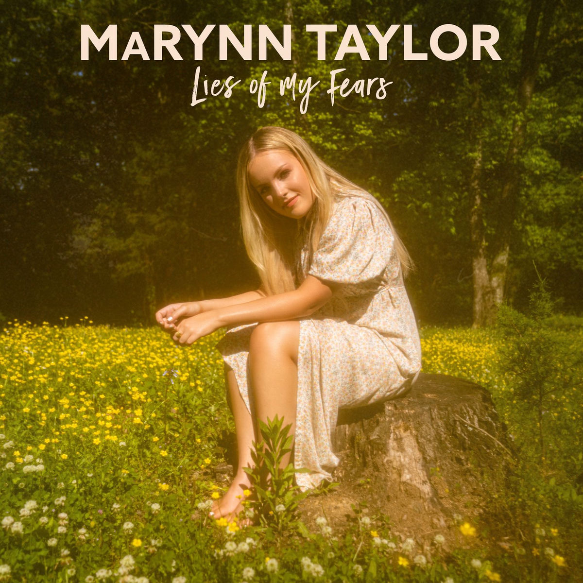 Album cover of Lies of My Fears