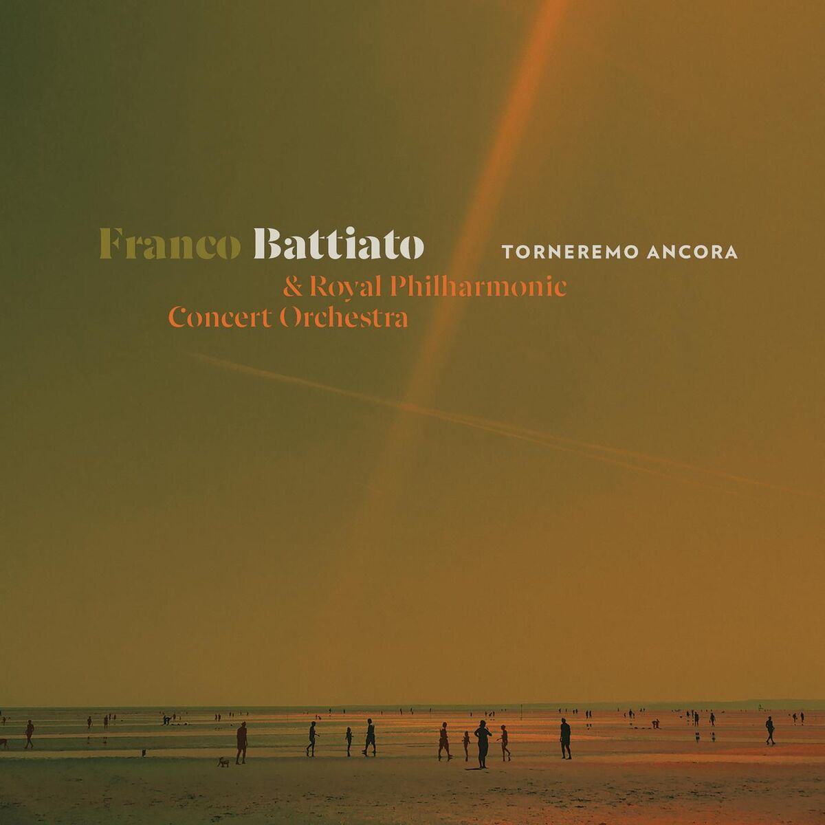 Album cover of Povera patria