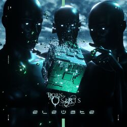 Cover of Elevate