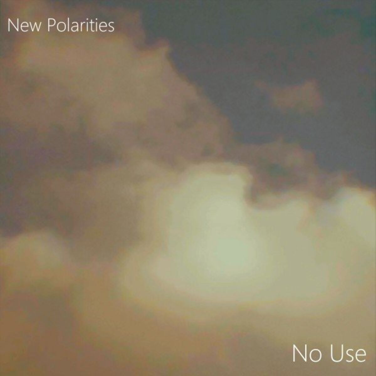 Album cover of No Use
