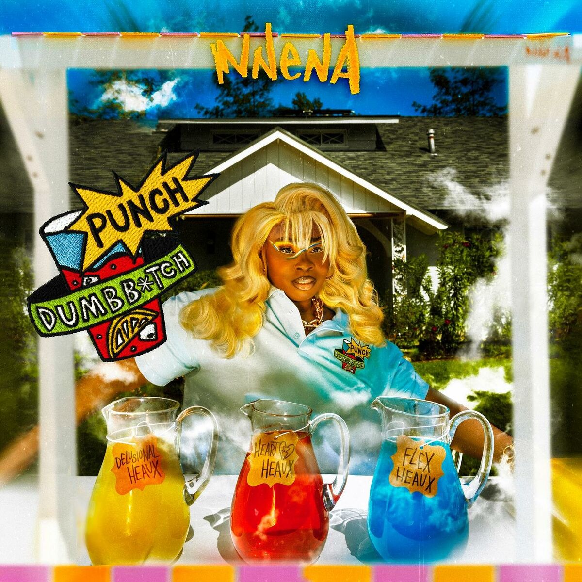 Album cover of DUMB BITCH PUNCH