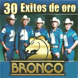 Cover of 30 Éxitos de Oro, Vol. 3