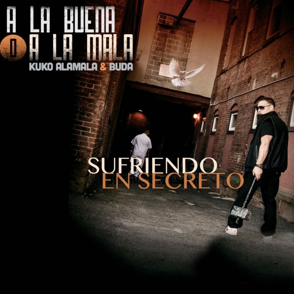 Picture of Sufriendo en Secreto