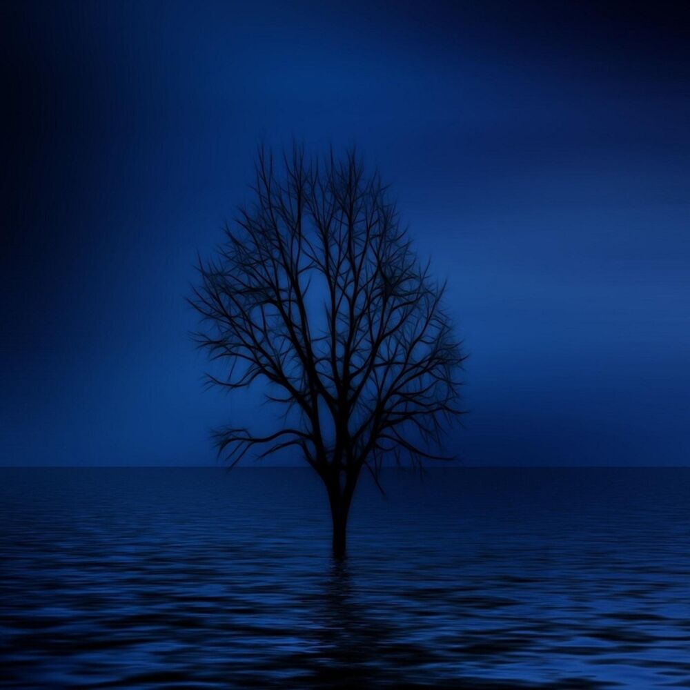 Picture of Lorianna's Ocean