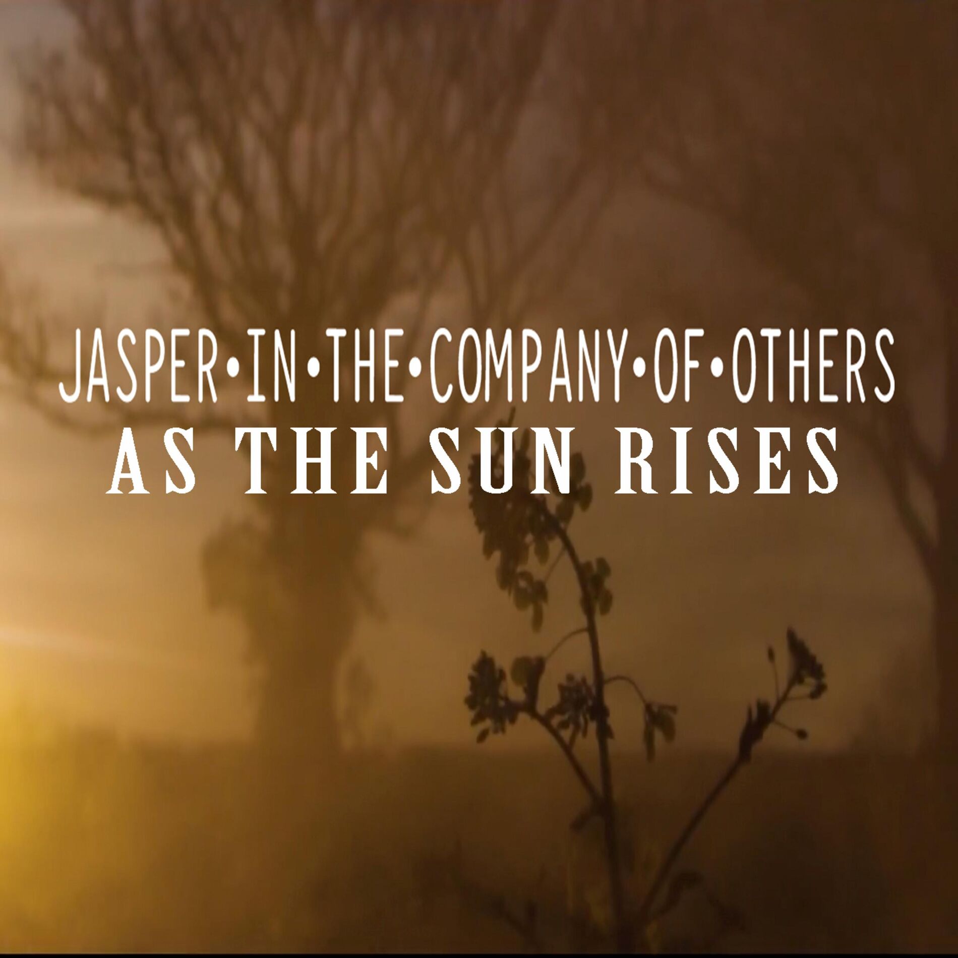 Album cover of As the Sun Rises