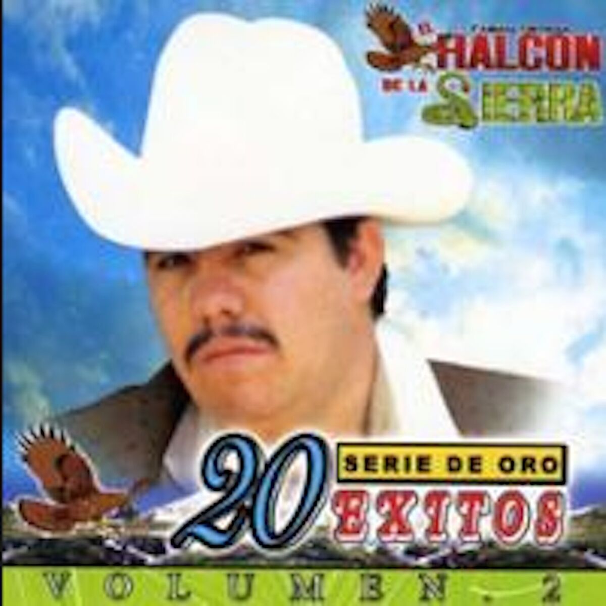 Album cover of 20 Exitos Vol.2
