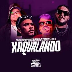 Cover of Xaqualhando
