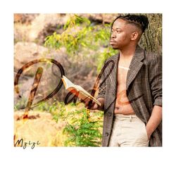 Cover of Pale