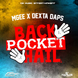 Cover of Back Pocket Hail - Single