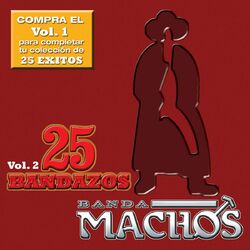 Cover of 25 Bandazos de Machos (Vol. 2) (USA)
