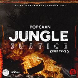 Cover of Jungle Justice (Part Twice)