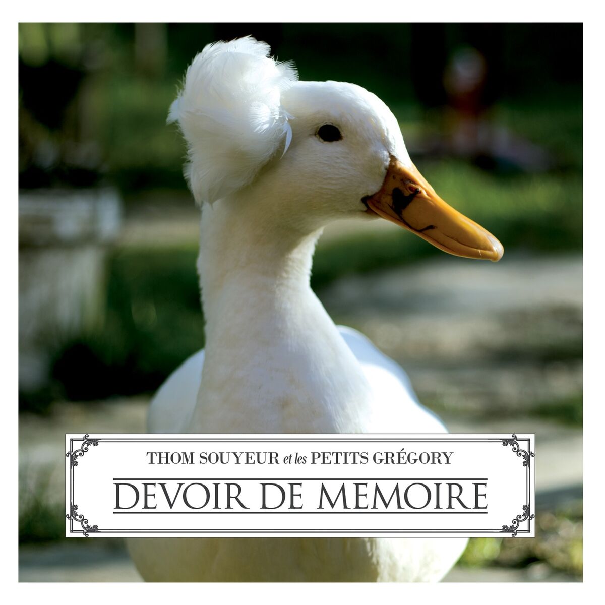 Album cover of Suicide collectif