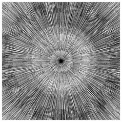 Cover of I've Got a Future (feat. Gavin Clark) (Nick Cave & Warren Ellis Rework)