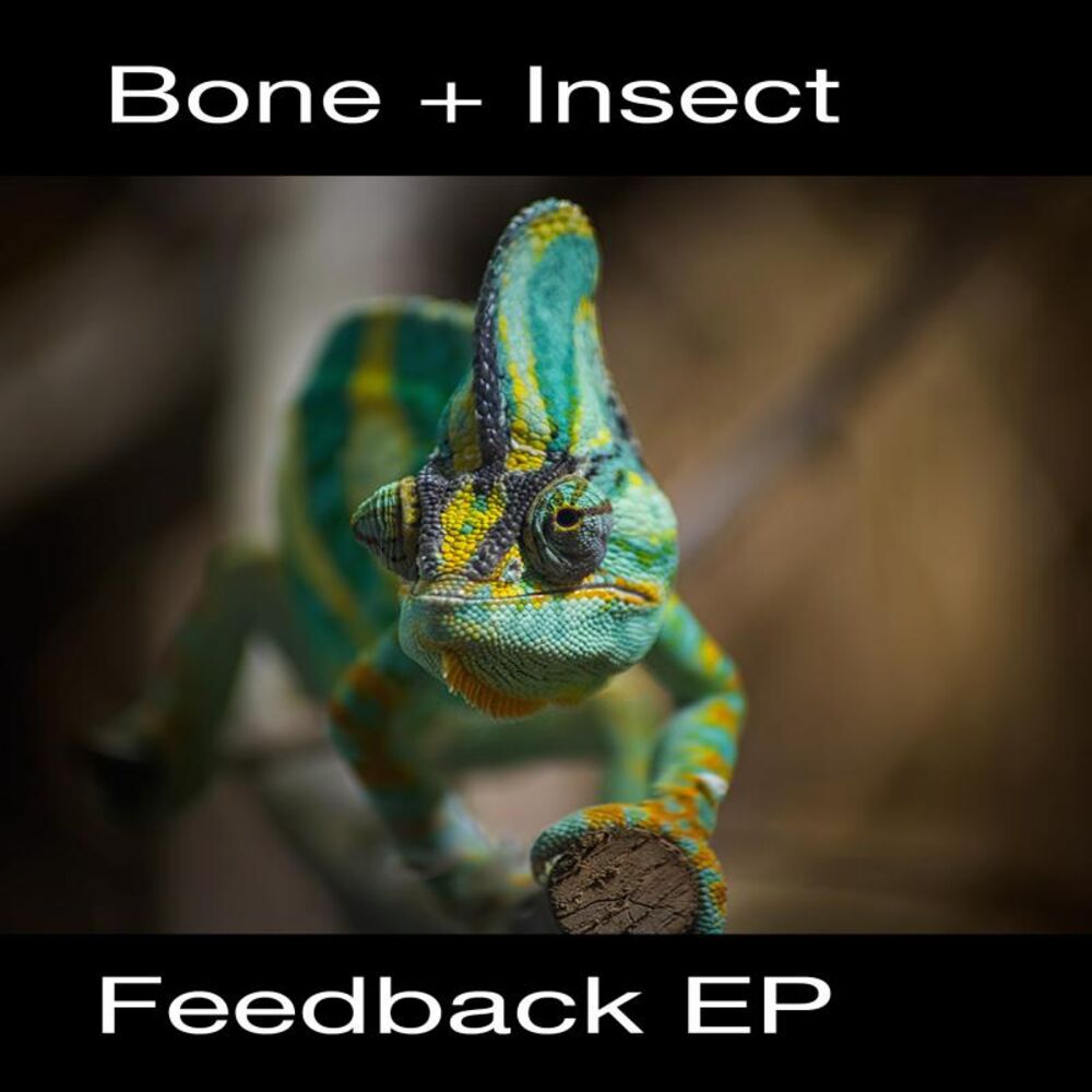 Picture of Feedback EP