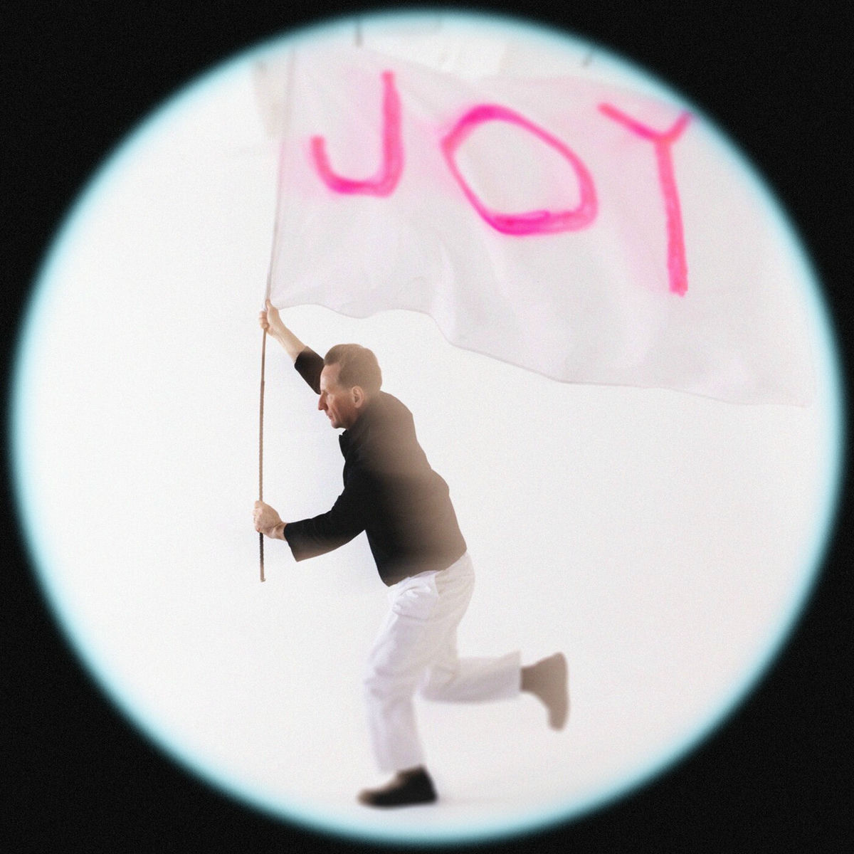 Album cover of JOY