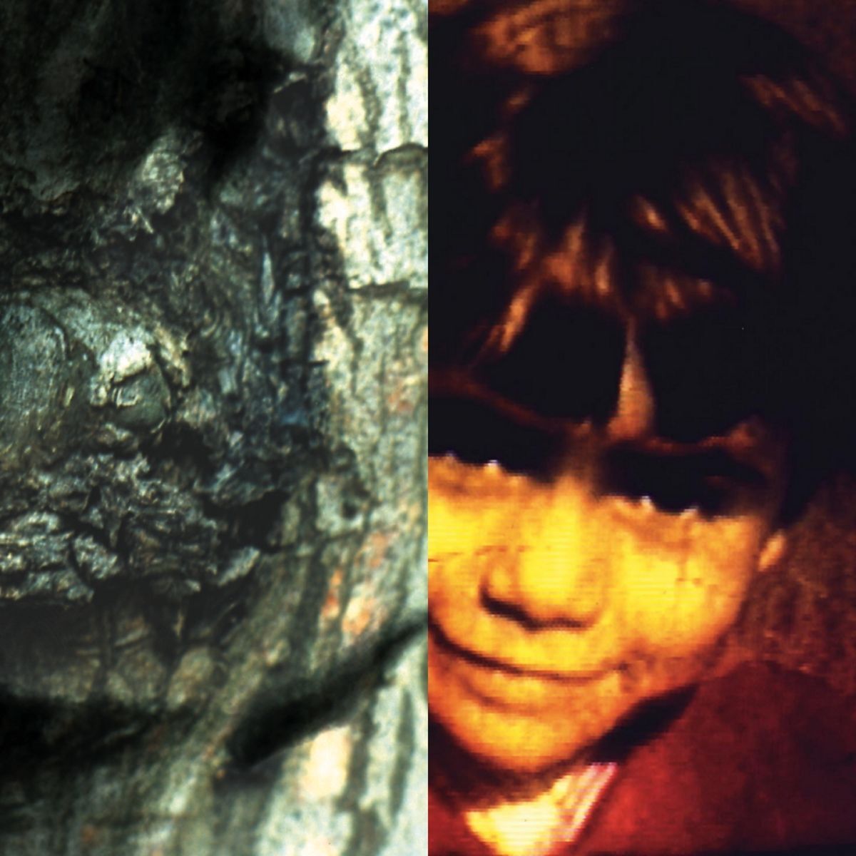 Album cover of I've Never Been There