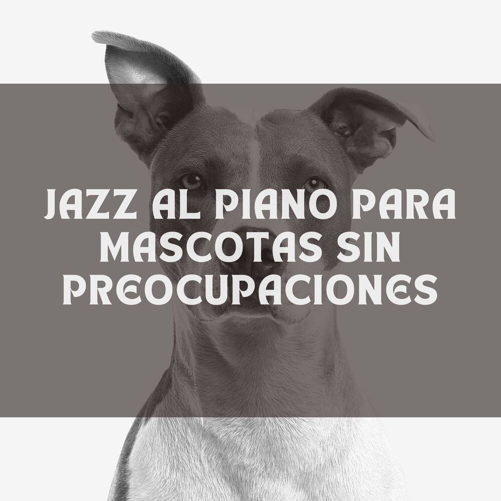 Picture of Jazz Al Piano Para Mascotas Sin Preocupaciones