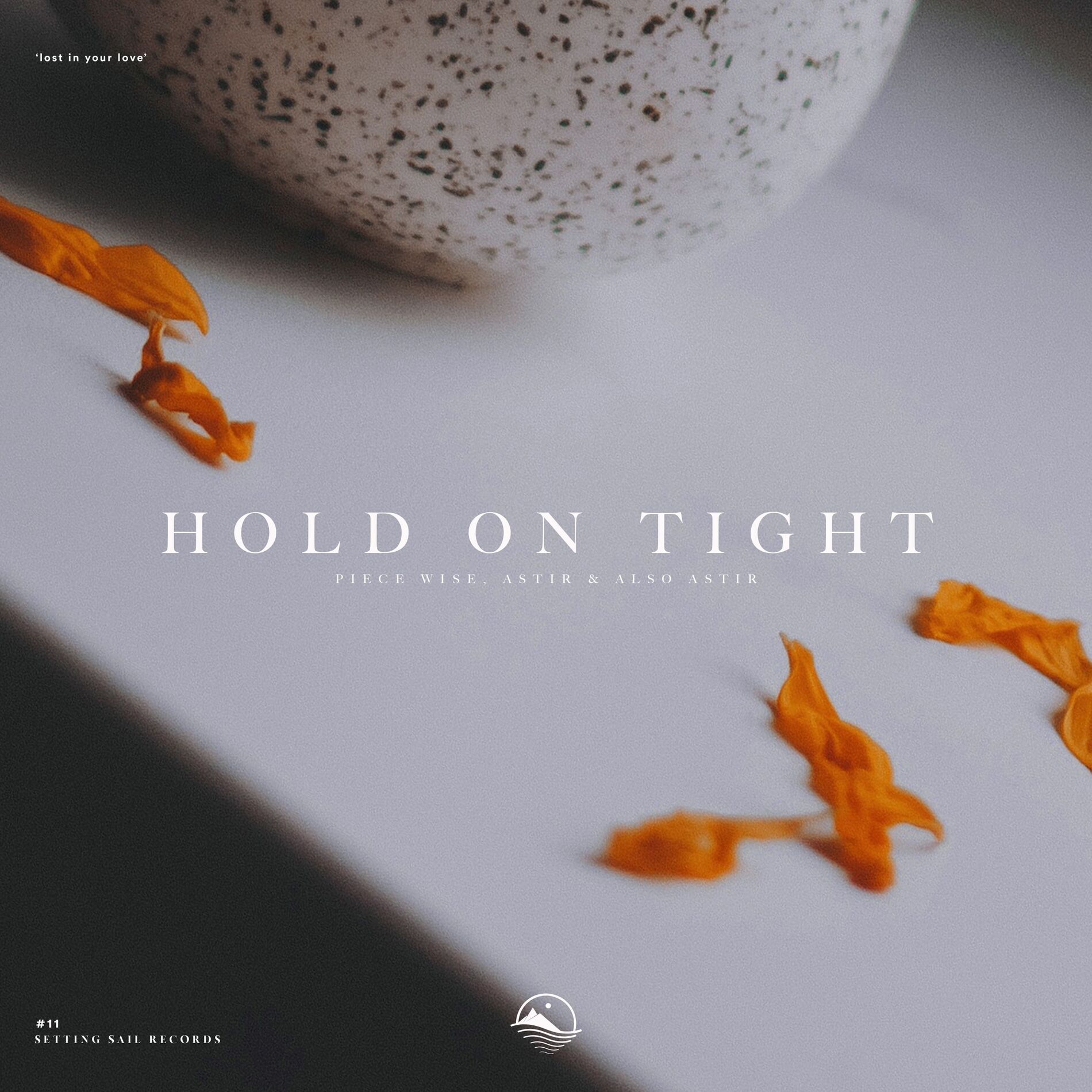Album cover of Hold on Tight