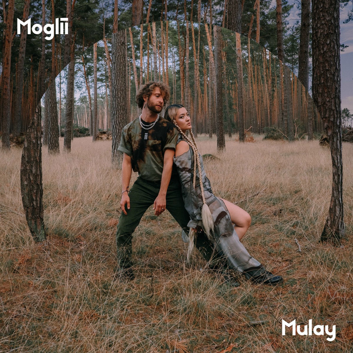 Album cover of Sunliight