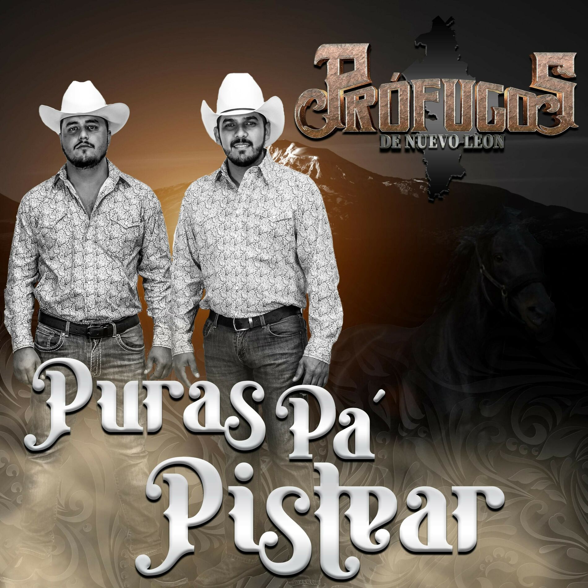 Album cover of Rogelio Garza