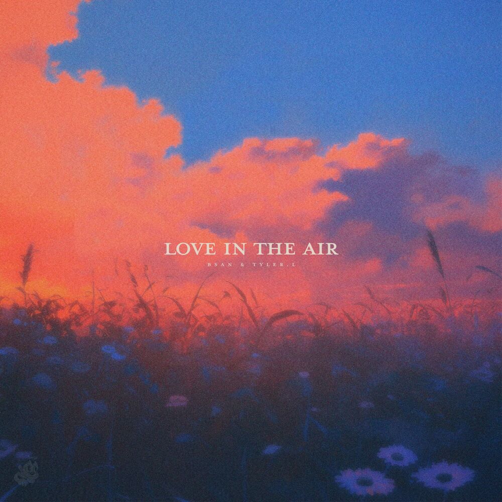 Picture of Love In The Air