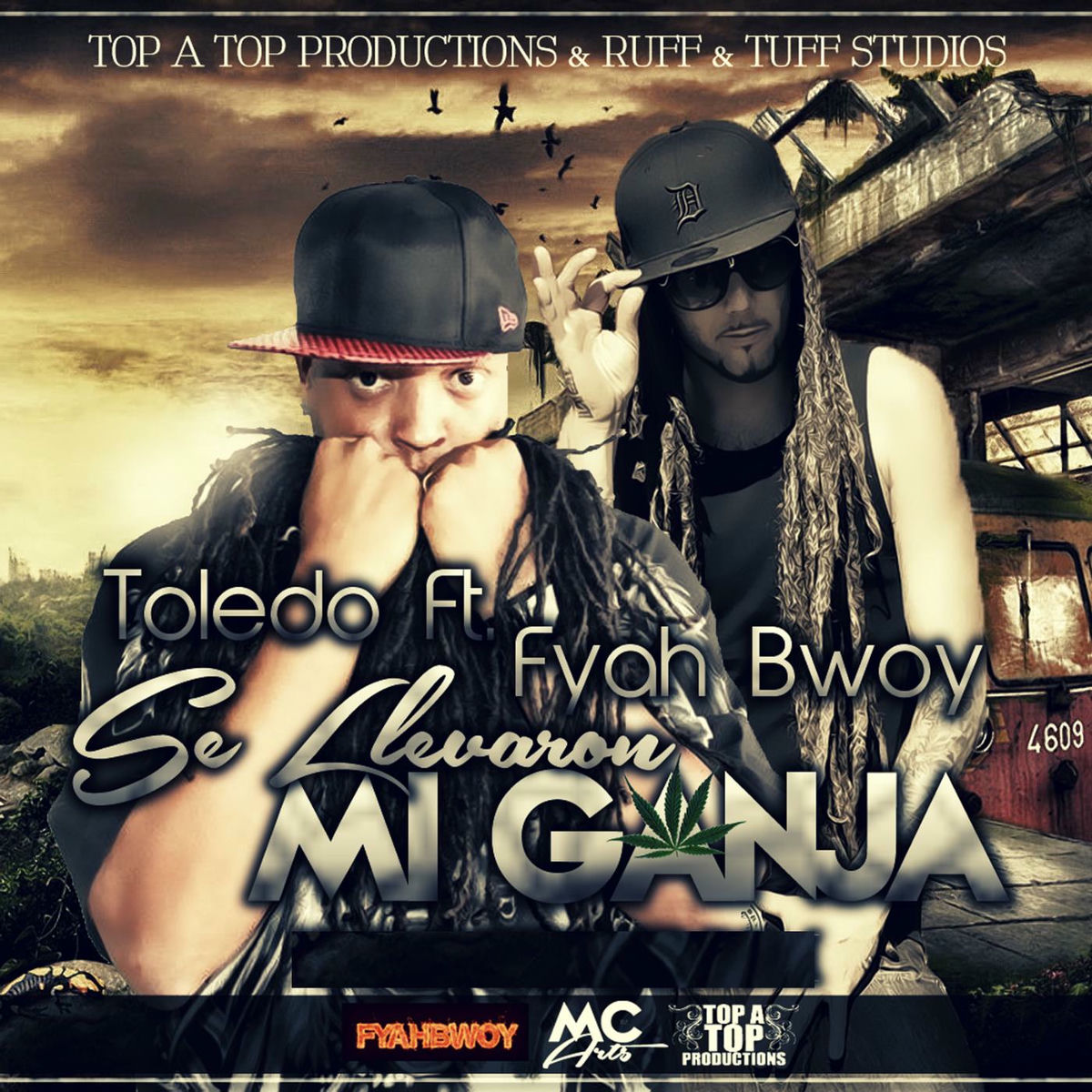 Album cover of Se Llevaron Mi Ganja (feat. Fyahbwoy)