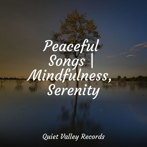 Peaceful Songs | Mindfulness, Serenity