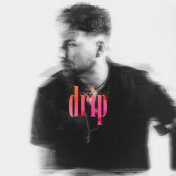 Cover of Drip