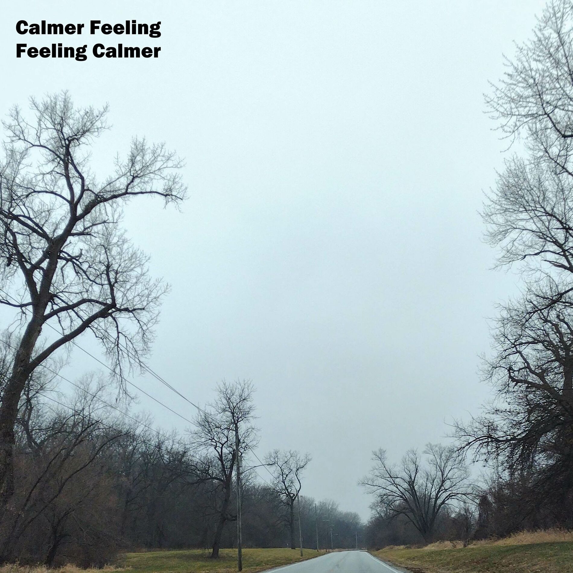 Album cover of Feeling Calmer