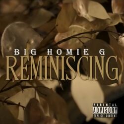 Cover of Reminiscing