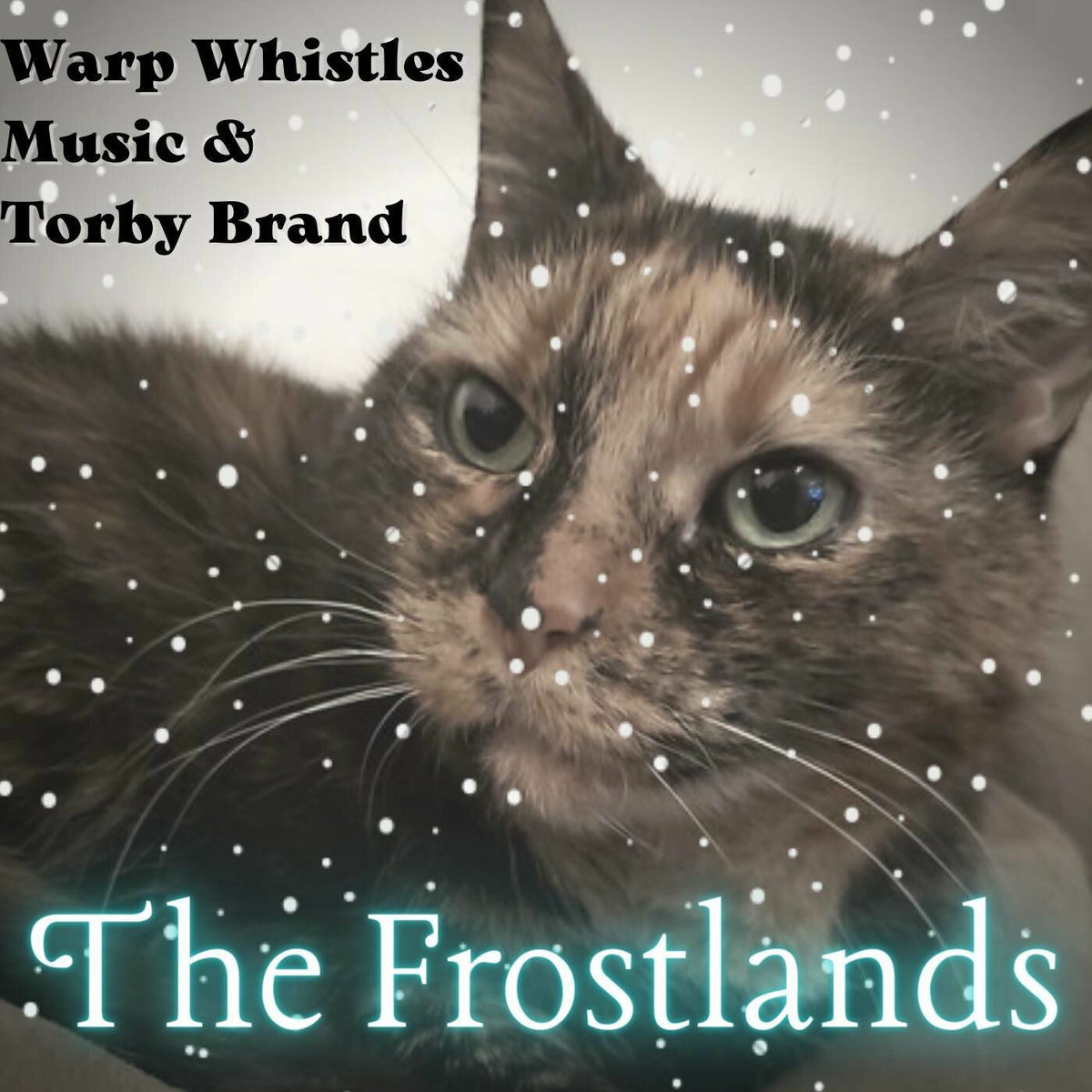 Album cover of The Frostlands (From 